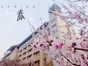 等閑識得東風(fēng)面，萬紫千紅總是春
